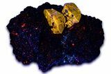 Fluorescent Zircon Crystals in Biotite Schist - Norway #363925-1